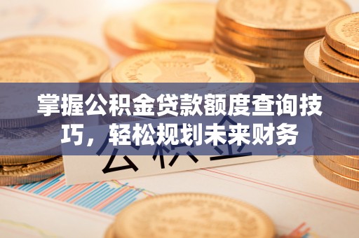 上虞掌握公积金贷款额度查询技巧，轻松规划未来财务