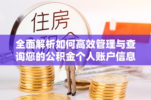 上虞全面解析如何高效管理与查询您的公积金个人账户信息