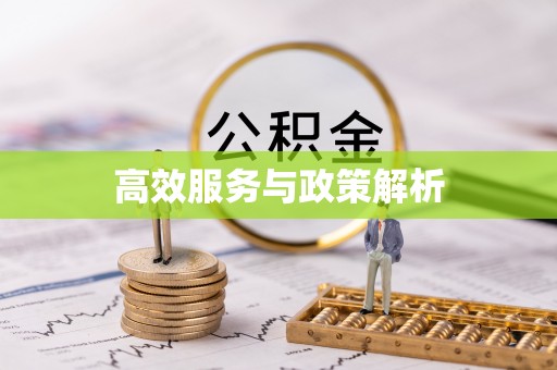 上虞高效服务与政策解析