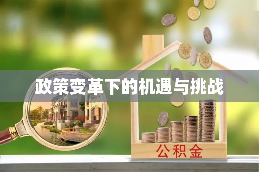 上虞政策变革下的机遇与挑战