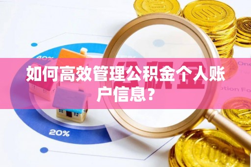 上虞如何高效管理公积金个人账户信息？